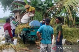 Pemerintah jamin ketersediaan pangan dan stabilitas harga