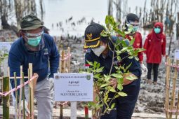 Ekosistem lahan basah punya peran penting memitigasi perubahan iklim