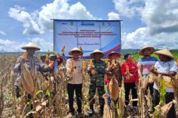 Lima kelompok tani Keerom terima bantuan dari BI Papua