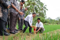 Pj Gubernur Banten ajak masyarakat pasang patok untuk cegah sengketa lahan