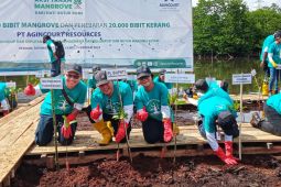 Peringati Hari Lahan Basah Sedunia , PT Agincourt Resources tanam 30.000 bibit mangrove