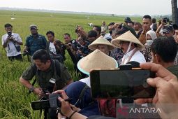 Menteri ATR/BPN akan "gebuk" seluruh mafia tanah di Indonesia