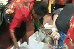 Produk pelaku usaha Biak habis terjual saat pameran UMKM Jakarta