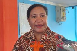 KPU RI segera tetapkan dapil di tiga DOB