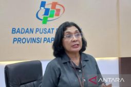 BPS: Ekonomi Papua Barat 2022 tumbuh 2,01 persen