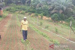 Pemkab Mukomuko uji coba pestisida nabati