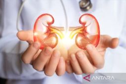 Pakar : Ginjal bisa terganggu oleh etilen glikol hingga jengkol