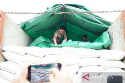 Menteri Pertanian pastikan stok beras aman hingga Lebaran