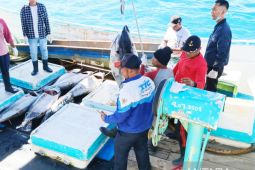 Wanggai: Sistem pengelolaan pelabuhan di Papua akan digabungkan
