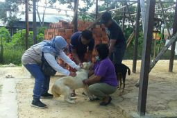 Distan Kabupaten PPU  terima 800 dosis vaksin rabies