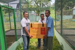 BKSDA Maluku terima  ular sanca kembang dari Dinas Damkar