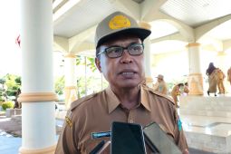 Papua Barat perluas areal persawahan untuk tingkatkan produksi padi