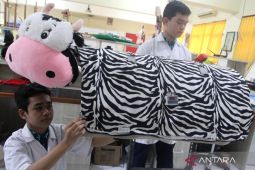 Selimut sapi perah elektronik