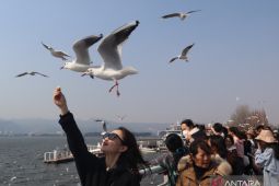 Industri pariwisata Yunnan mulai pulih