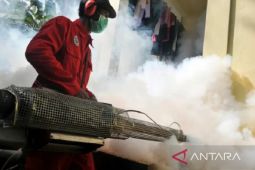 Dinkes Lebak catat 773 kasus DBD, empat di antaranya meninggal