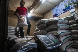 Harga beras di Lebak relatif stabil karena pasokan melimpah