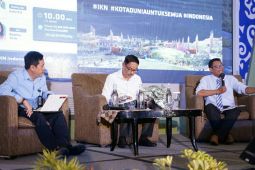 Perubahan UU IKN untuk perkuat substansi OIKN