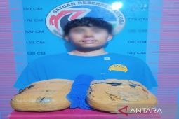 Pengedar ganja di Linggabayu Madina ditangkap polisi