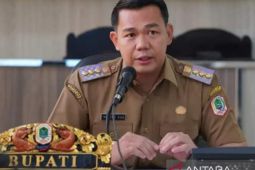 Bupati Kapuas Hulu berharap Pers perangi hoak dengan berita akurat