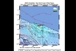 Gempa magnitudo 5,4 guncang Papua