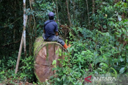 Aceh targetkan peningkatan indeks kualitas lingkungan hidup