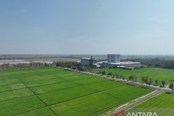 Sang Hyang Seri siapkan 18.500 ton bibit padi