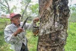 Prioritas investasi Indonesia sektor hilir