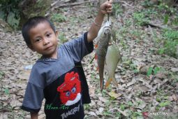Populasi ikan lokal Kalsel kian sulit ditemui