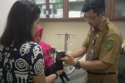 Puskeswan Batam: Kebutuhan layanan hewan peliharaan sangat tinggi