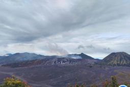 Aktivitas Bromo didominasi gempa tremor menerus