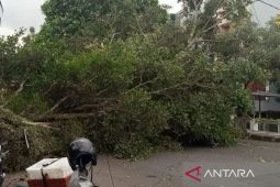 BPBD Cianjur siagakan petugas dan relawan antisipasi bencana