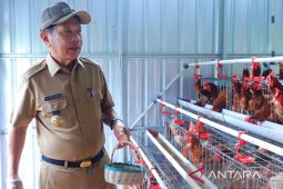 Arifin yang "terpedas" hingga bangun ekonomi desa
