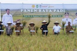 Kalbar siap hadapi transformasi pertanian dampak IKN