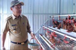 Kalsel kemarin, pemerintah tangani ribuan RTLH hingga keluhan warga tentang usaha tani