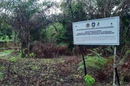 KLHK tetapkan sanksi denda ke salah satu perusahaan sawit di Bintan