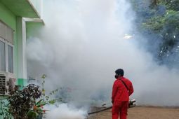 Tiga lokasi terjangkit DBD di Paser dilakukan fogging