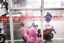 BMKG minta waspadai potensi hujan disertai petir di Surabaya