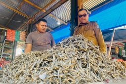 Pemkab Aceh Barat intervensi ekonomi cegah laju inflasi