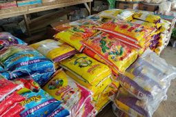 Stok beras di Batanghari Jambi cukup untuk tiga bulan ke depan