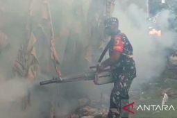 Dinkes Pamekasan cegah penyebaran DBD