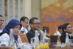 Komisi VI DPR RI apresiasi PLN atasi oversupply melalui optimasi kontrak IPP Rp47 triliun