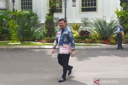 Mentan lapor ke Presiden Jokowi, di semua daerah sudah panen raya