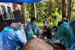 BBKSDA Sumut: Gajah Dwiki mati di Aek  Nauli Kabupaten Simalungun