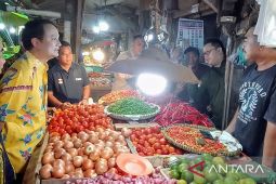 Wamendag RI tinjau bahan kebutuhan  pokok di Pasar Segiri Samarinda