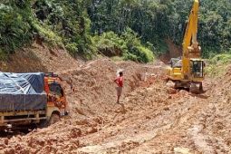 Ratusan kendaraan terjebak di Trans Papua ruas Jayapura-Wamena