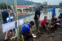 Pertamina di Maluku Utara gandeng warga tanam 300 pohon mangrove