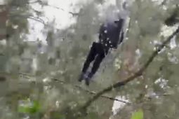 Update Hari Ke-2 Evakuasi Kapolda Jambi: Personil SAR jalur udara berhasil mendarat di lokasi helikopter jatuh