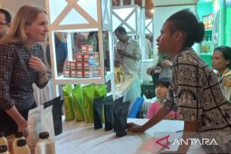 Norwegia dukung pengembangan ekonomi hijau Papua Barat