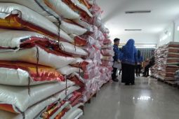 BPS RI: 147 kabupaten/kota alami kenaikan harga beras