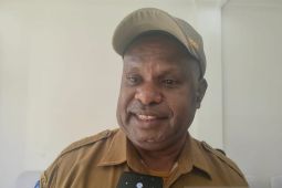 Pemprov Papua alokasikan Rp1,8 miliar untuk pelatihan warga jelang STC